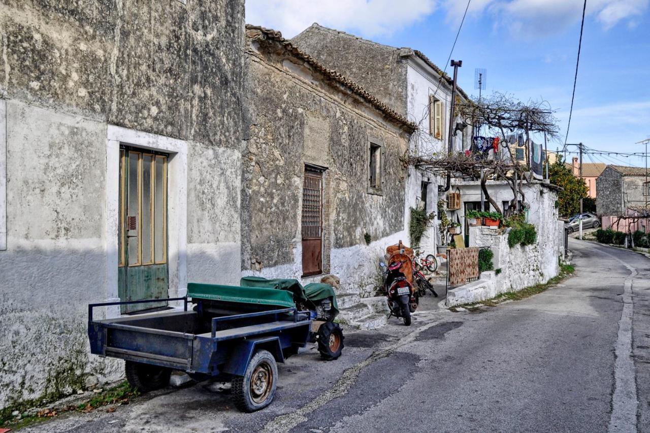 Ferienwohnung Alexandras Forest View Agios Prokopios  Exterior foto